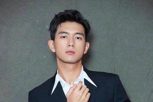 圈内大爆料杨紫肖战,揭秘娱乐圈的甜蜜秘密  第3张